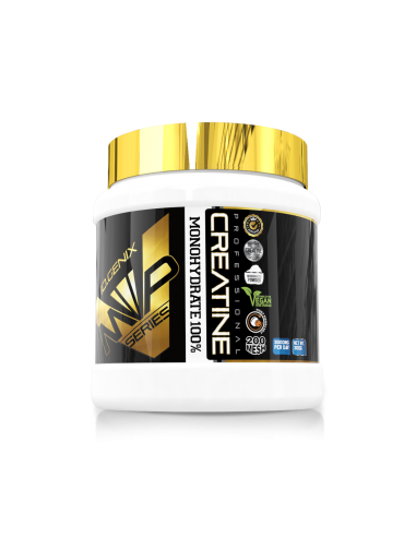 CREATINE MICRONIZED 300G