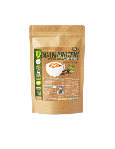 PROTEIN VEGAN 900G