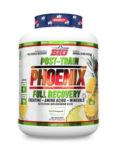 PHOENIX1800g RECUPERADOR POST-ENTRENO...